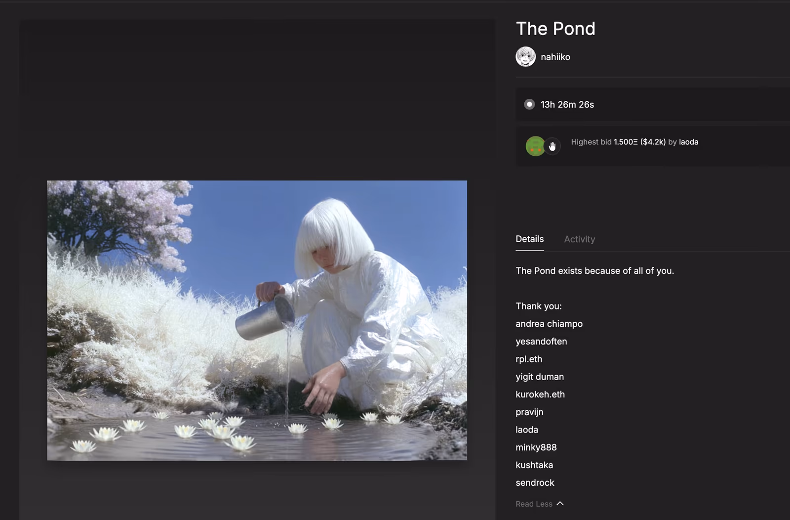 the pond activity history